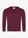 Zeco Schoolwear Zeco Kids School Knitted V-neck Jumper In Purple