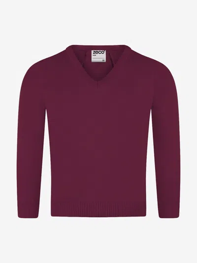 Zeco Schoolwear Zeco Kids School Knitted V-neck Jumper In Purple