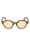 Zegna 50mm Round Polarized Sunglasses In Brown