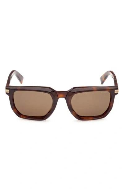 Zegna 54mm Polarized Rectangular Sunglasses In Brown