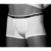 Zegna Elastic Waist Boxer Panties In Gray