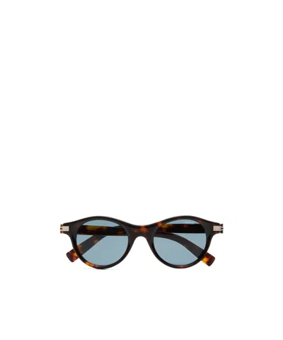 Zegna Havana Brown Acetate Sunglasses In White