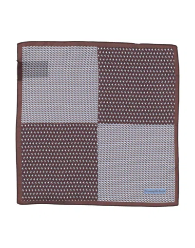 Zegna Scarves In Brown