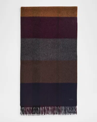Zegna Men's Oasi Cashmere Stripe Scarf In Brown