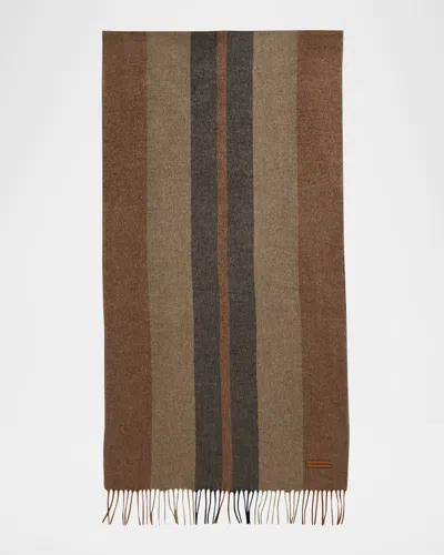 Zegna Men's Silk Multi-stripe Scarf In Brown