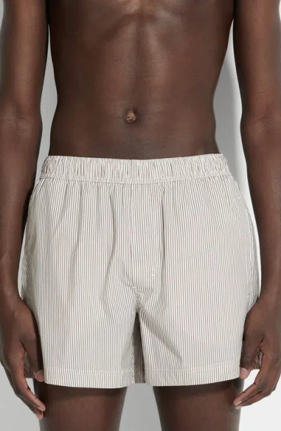 Zegna Pinstripe Swim Trunks