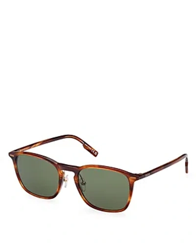 Zegna Round Sunglasses, 52mm In Brown