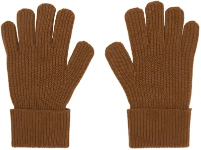 Zegna Tan Oasi Cashmere Gloves In N05