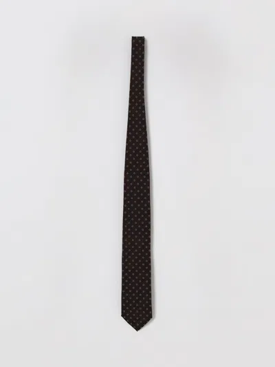 Zegna Tie Men  In Brown