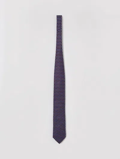Zegna Tie Men  In Brown