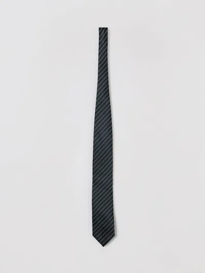 Zegna Tie Men  In Brown