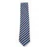 Zegna Diagonal Striped Ties Standard Width In Blue