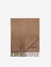 Zegna Fringed Cashemere Scarf In Brown