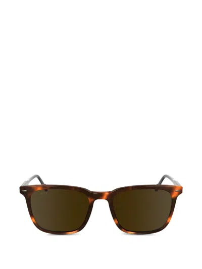 Zeiss Tortoiseshell-effect Square-frame Sunglasses In Burgundy