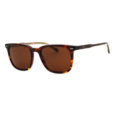 Zeiss Zs24545s 239 Dark Tortoise/brown