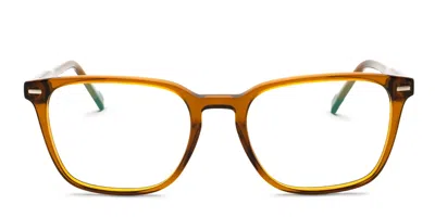 Zeiss Zs24549 Brown