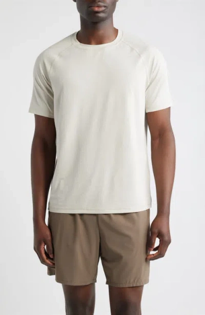 Zella Endurance Performance T-shirt In Gray