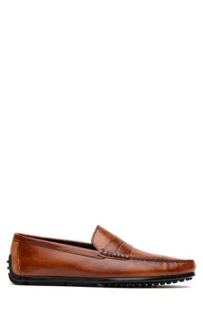 Zelli Italia Monza Driving Loafer In Brown