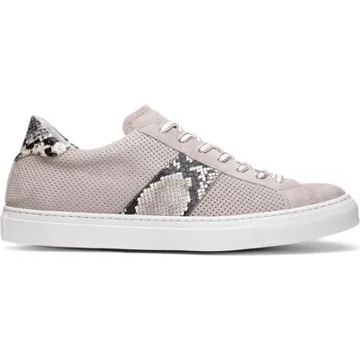 Zelli Italia Olympias Sneaker In Gray
