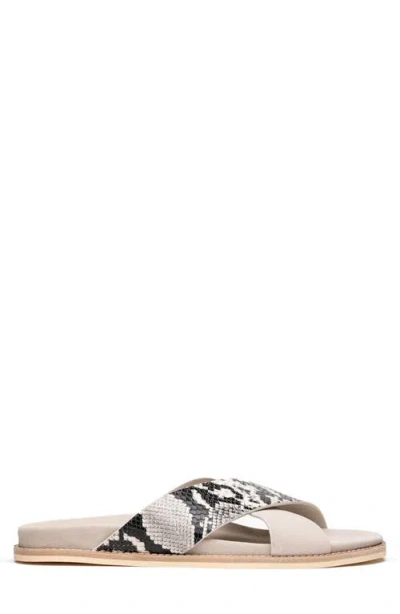 Zelli Italia Rena Sandal In Gray