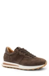 Zelli Italia Roxi Sneaker In Brown