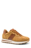 Zelli Italia Roxi Sneaker In Brown