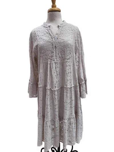 Zenara Women's Lace Dress In Beige In Gray