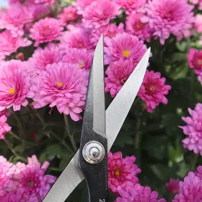 Zenport Deluxe Fruit Scissors In White;red