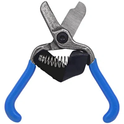 Zenport Fruit Shears In Blue