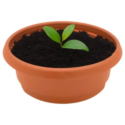 Zenport Grow Pots In Orange