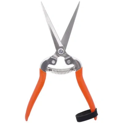 Zenport Handles  All-purpose Kitchen Scissors In Orange