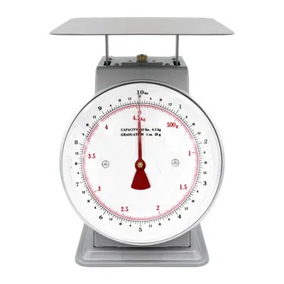Zenport Platform Stainless Mechanical Kitchen Scale