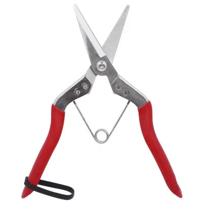 Zenport Pruning Shear In Red
