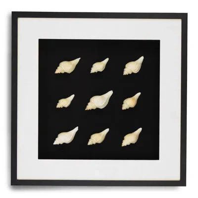Zentique Abstract Shell Wall Art In Black;white