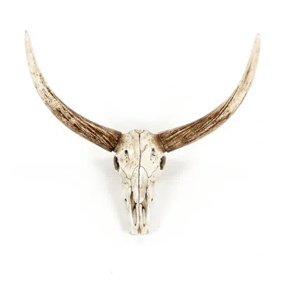 Zentique Bull Skull Wall Décor In Gold;cream