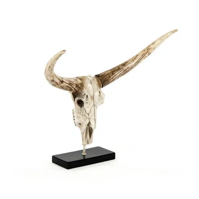 Zentique Bull Skull With Base Wall Décor In Gold;cream