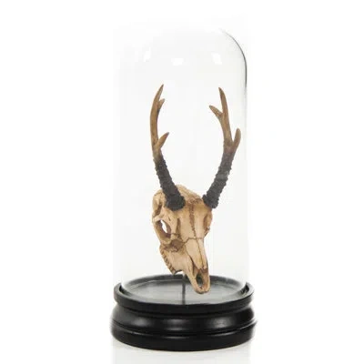 Zentique Deer Skull With Bel Glass Sculpture In Black;brown