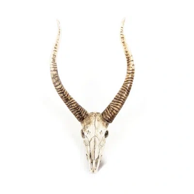 Zentique Goat Skull Wall Décor In Gold;cream