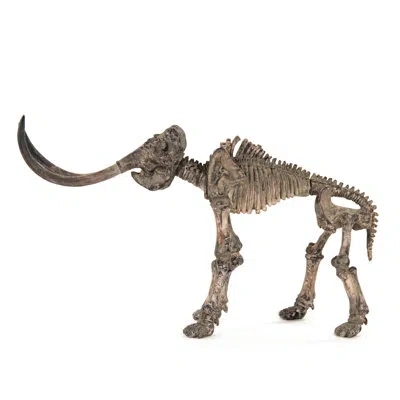 Zentique Mammoth Skeleton Wall Décor In Antique White