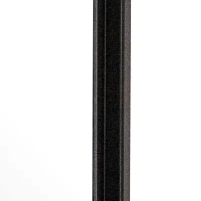Zentique Metal Framed Mirror In Black
