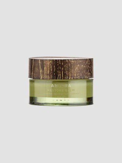 Zents Antara Restore Balm
