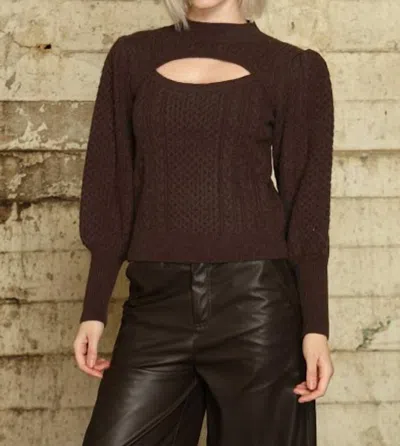 Zero Degree Celsius Chest Cut Out Sweater In Brown