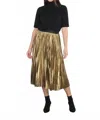 Zero Degree Celsius Pleated Skirt In Antique Gold In Multi