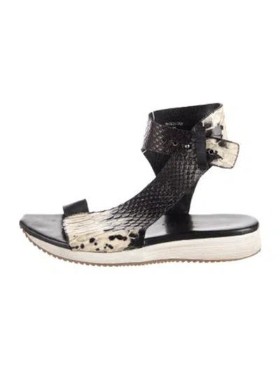 Pre-owned Zero + Maria Cornejo Leather Animal Print Sandals In Multicolor