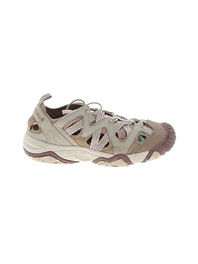 Pre-owned Zeroxposur Sneakers In Brown