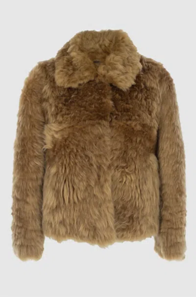 Zeynep Arcay Women's Sherling Jacket In Honey In Brown