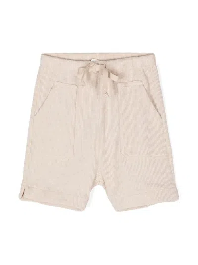 Zhoe &amp; Tobiah Babies' Shorts Con Coulisse In Beige
