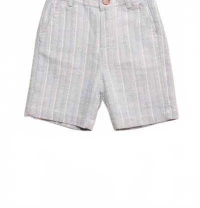 Zhoe & Tobiah Kids' Boy's Herring Bermuda Shorts In Blue In Gray