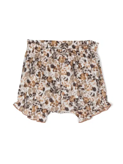 Zhoe & Tobiah Babies' Graphic-print Ruffled Cotton Shorts In Brown