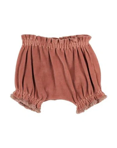 Zhoe & Tobiah Babies'  Newborn Girl Shorts & Bermuda Shorts Antique Rose Size 3 Cotton, Polyamide